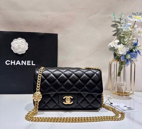 1:1 Replica Chanel Bags AS4041 12X20X6.5cm WO