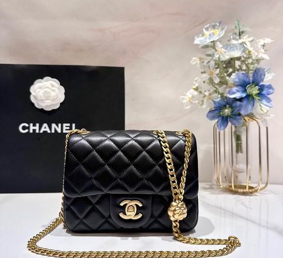 1:1 Replica Chanel Bags AS4040 17cm WO