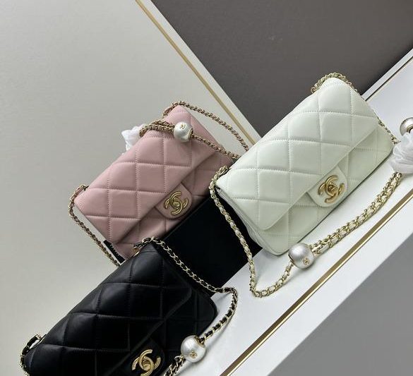 1:1 Replica Chanel Bags Chanel 5118 13×20.5×6.5cm jj