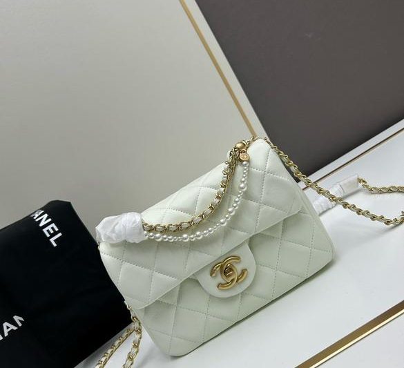 1:1 Replica Chanel Bags Chanel 5116 20×14.5x7cm jj2