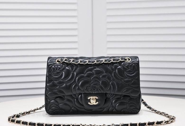 1:1 Replica Chanel Bags 1112 25.5X15X7.5cm WO-1