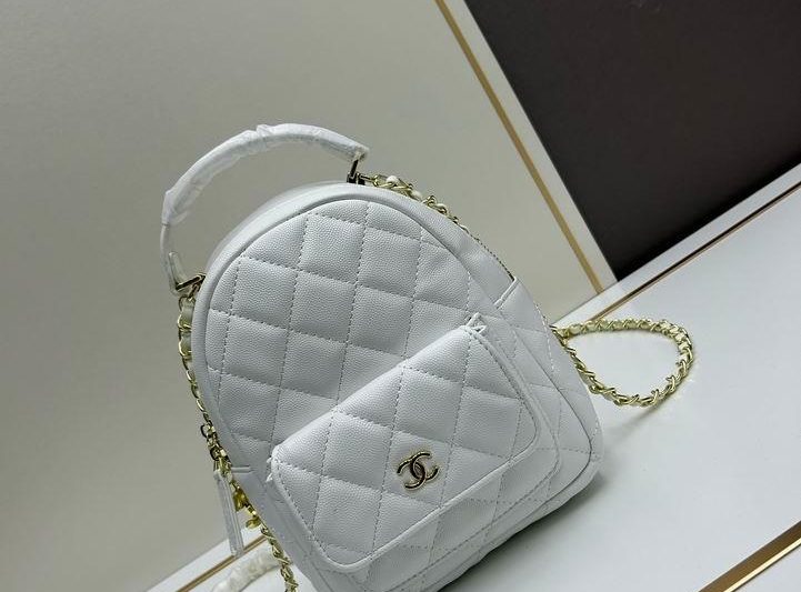 1:1 Replica Chanel Bags Chanel 6659 20x22x7cm jj1