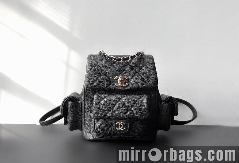 1:1 Replica Chanel Bags 20X4.5X11cm 032508 WO