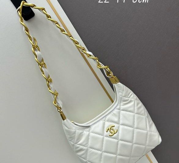 1:1 Replica Chanel Bags Chanel 1006 22.5×19.5×8.5cm jj1