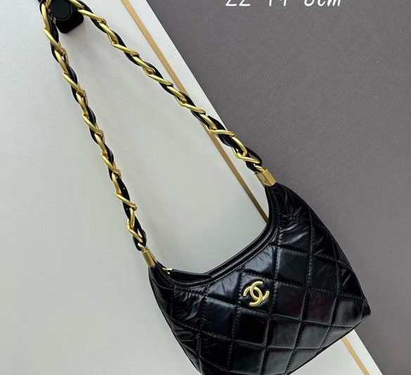 1:1 Replica Chanel Bags Chanel 1006 22.5×19.5×8.5cm jj