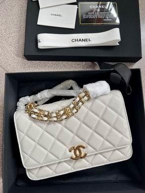 1:1 Replica Chanel Bags 19X12X3.5cm 092702