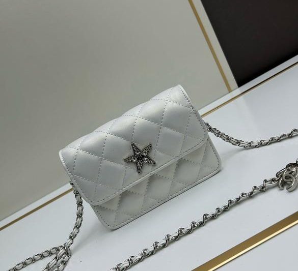 1:1 Replica Chanel Bags Chanel 3357 17x11x4cm ww4