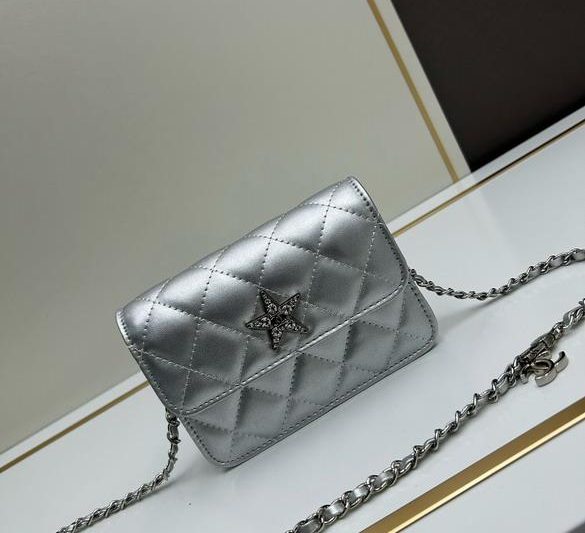 1:1 Replica Chanel Bags Chanel 3357 17x11x4cm ww2
