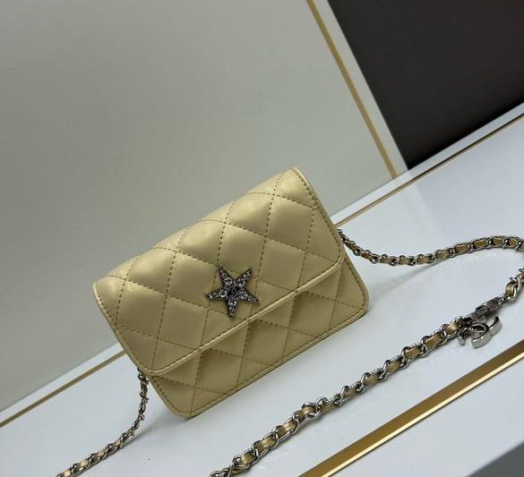 1:1 Replica Chanel Bags Chanel 3357 17x11x4cm ww1