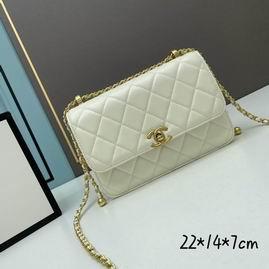 1:1 Replica Chanel Bags Chanel 2649 22x14x7cm ww2色