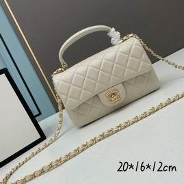 1:1 Replica Chanel Bags Chanel 2431 20×11.5x16cm ww2色