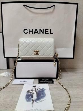 1:1 Replica Chanel Bags AP1450 19.2X12.3X3.5cm WO