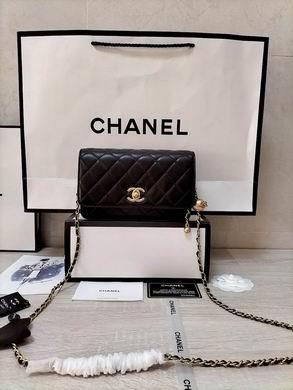 1:1 Replica Chanel Bags WOAP1450 19.2X12.3X3.5