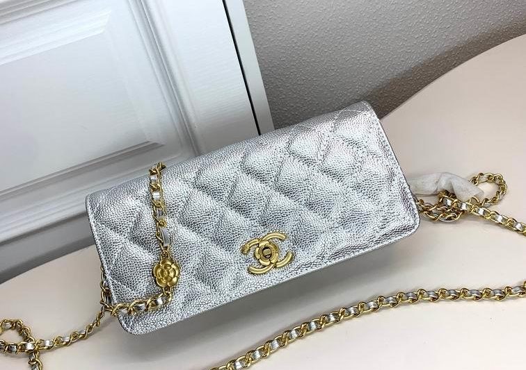 1:1 Replica Chanel Bags Chanel 6008 22x10x4cm zy2