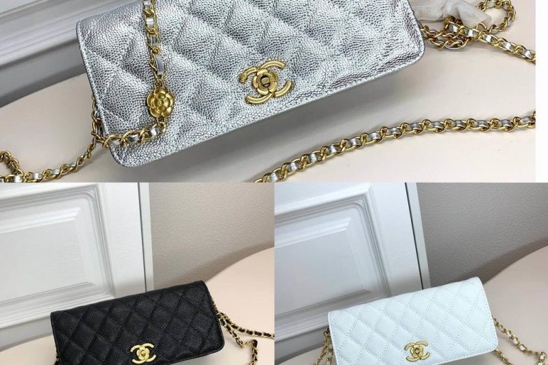1:1 Replica Chanel Bags Chanel 6008 22x10x4cm zy