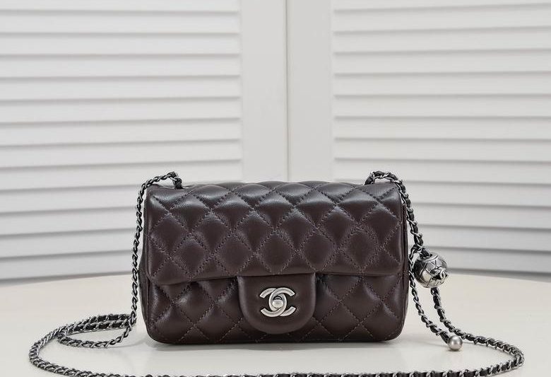 1:1 Replica Chanel Bags 1787 20X12X7cm WO 6