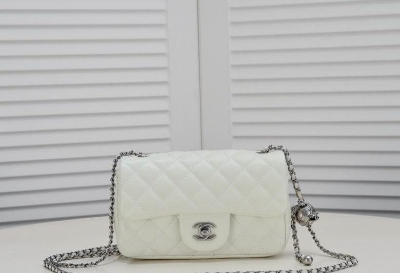 1:1 Replica Chanel Bags 1787 20X12X7cm WO 4