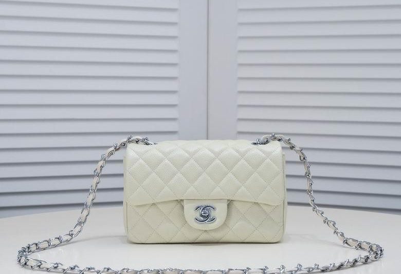 1:1 Replica Chanel Bags 1116 20X14X7cm WO 4