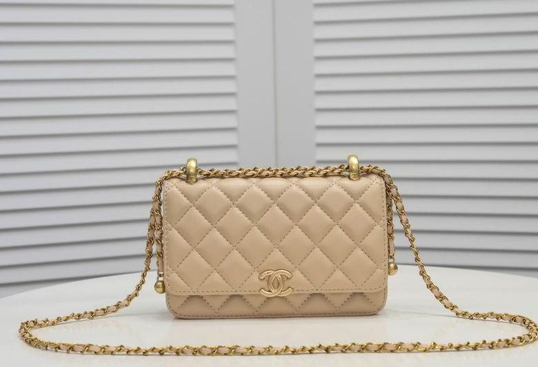 1:1 Replica Chanel Bags A33814-4  19X12X4cm WO